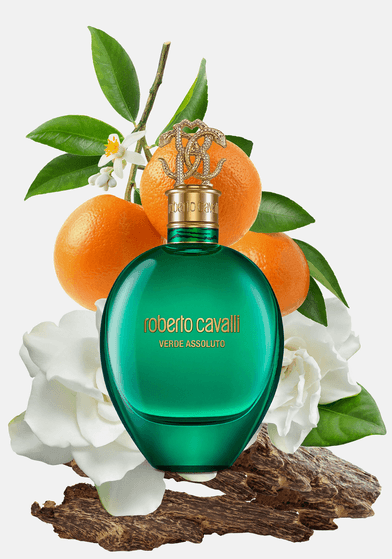 Roberto Cavalli -Signature Verde Assoluto Roberto Cavalli pour homme et femme
